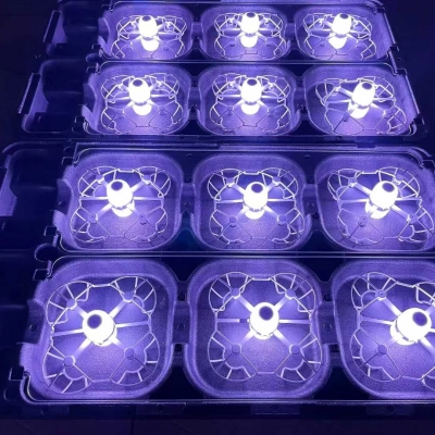 fly light show drones performance drones bee group